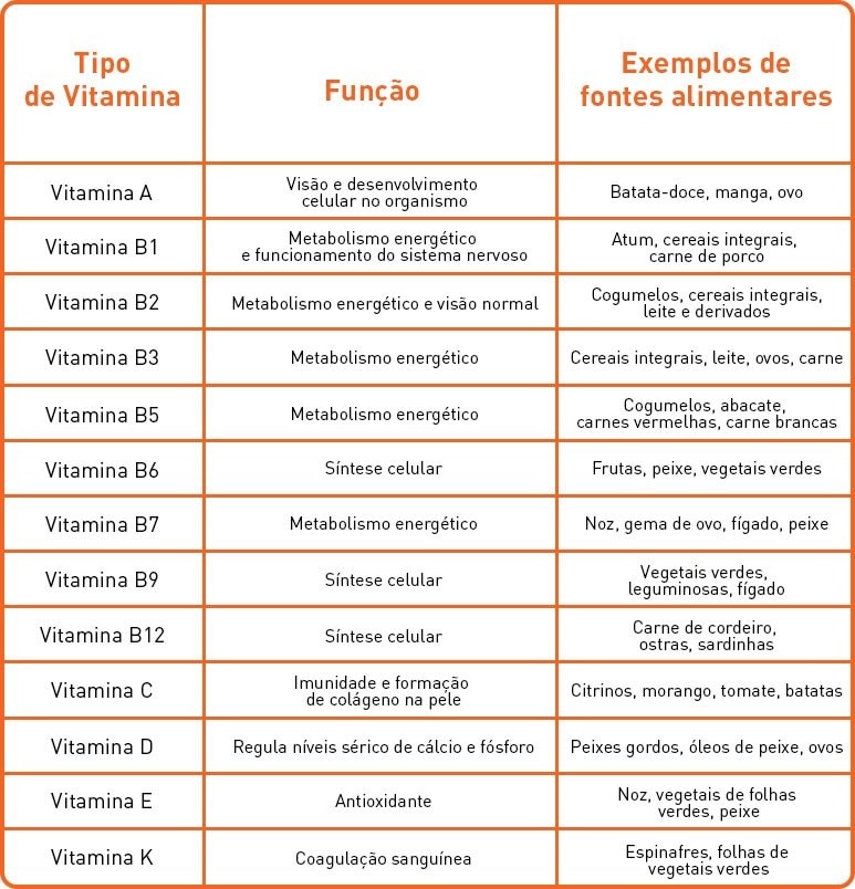 Macronutrientes E Micronutrientes E A Sua Importância 5519